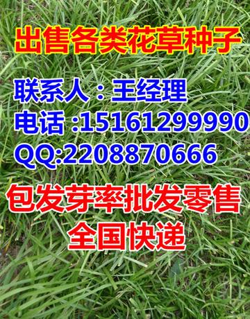 <strong>8407多少钱一公斤</strong> <strong>8407多少钱一公斤</strong>