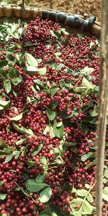 8407钢材多少一公斤? 8407钢材多少一公斤?